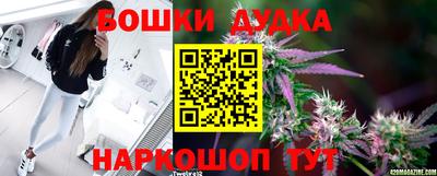 каннабис Новозыбков