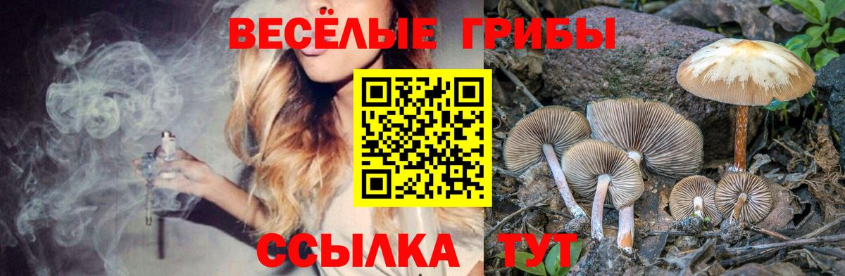 Галлюциногенные грибы мицелий  Псилоцибиновые грибы прущие грибы  Вход с VPN  Сибай 