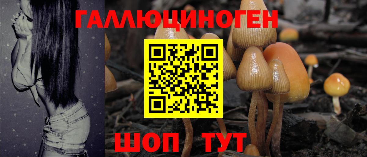 Псилоцибиновые грибы Cubensis Сибай