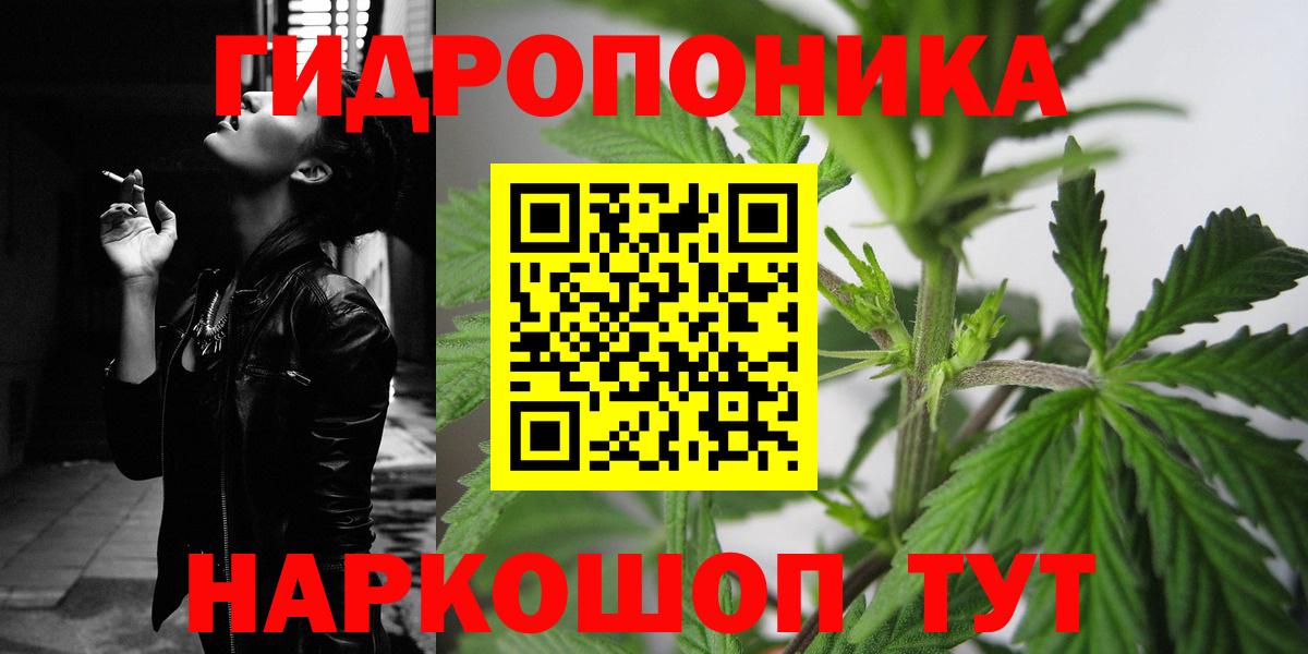Каннабис OG Kush Сибай